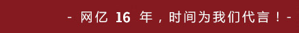 网亿16年,时间为我们代言!